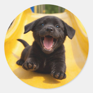 Blij puppy zwarte Labrador glijdt langs gele glijb Ronde Sticker