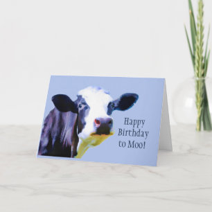 Blij van de verjaardag van Moo Een mooie dag voor  Kaart