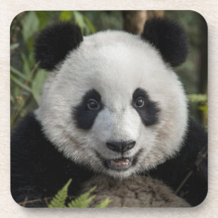 Blijde jonge panda, China Drankjes Onderzetter