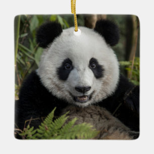 Blijde jonge panda, China Keramisch Ornament