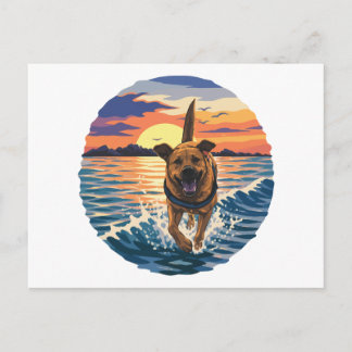 Blijde Labrador Rent Door Gouden Zonsondergang Oce Briefkaart