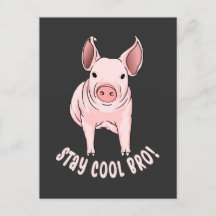 Blijf Cool Bro Funny Pig