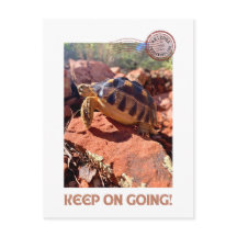 Blijf doorgaan Inspirerend coddiwompling schildpad