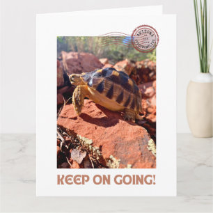 Blijf doorgaan Inspirerend coddiwompling schildpad Kaart