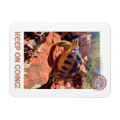 Blijf doorgaan Inspirerend coddiwompling schildpad Magneet (Horizontaal)