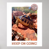 Blijf doorgaan Inspirerend coddiwompling schildpad Poster (Voorkant)