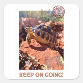 Blijf doorgaan Inspirerend coddiwompling schildpad Vierkante Sticker
