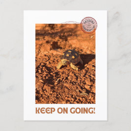 Blijf doorgaan Motivatie coddiwompling schildpad Briefkaart
