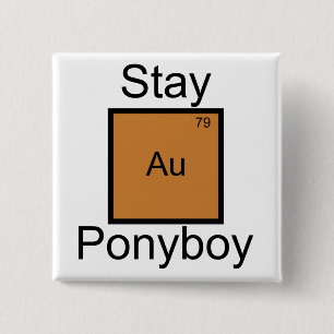 Blijf Gold Ponyboy Element Pun Vierkante Button 5,1 Cm