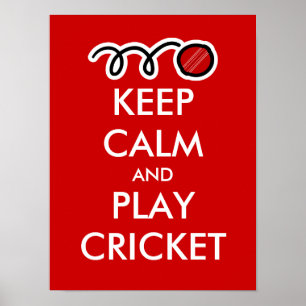 Blijf kalm en speel cricket   aangepaste poster pa