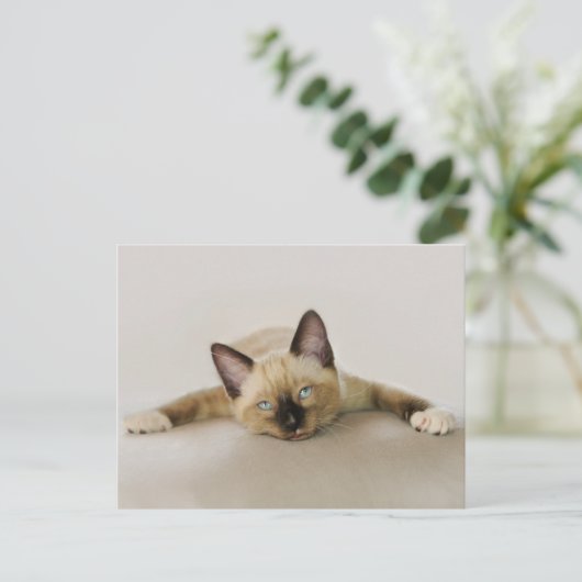 Blijf koel en koude keuten uit. briefkaart (Staand voorkant)