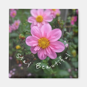 Blijf mooi roze dahlia magneet