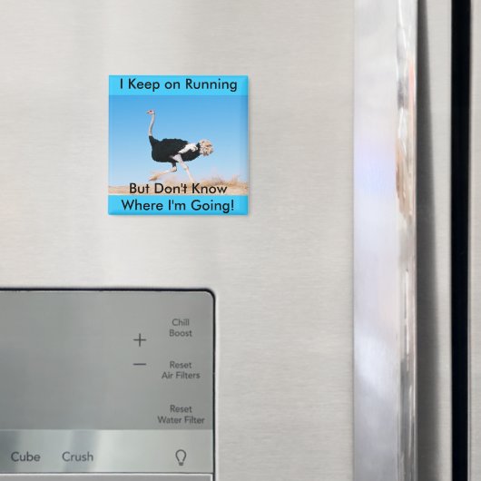 Blijf op Running Struisvogel Magnet Magneet (Insitu (Koelkast))