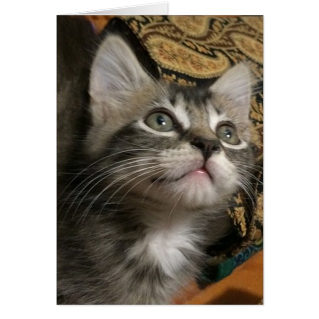 "Blijf op zoek"-kaart (Voorkant)