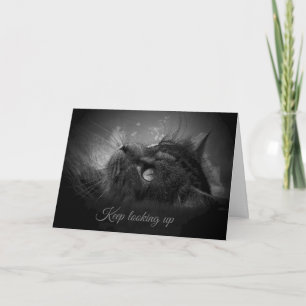 Blijf op zoek naar kaart