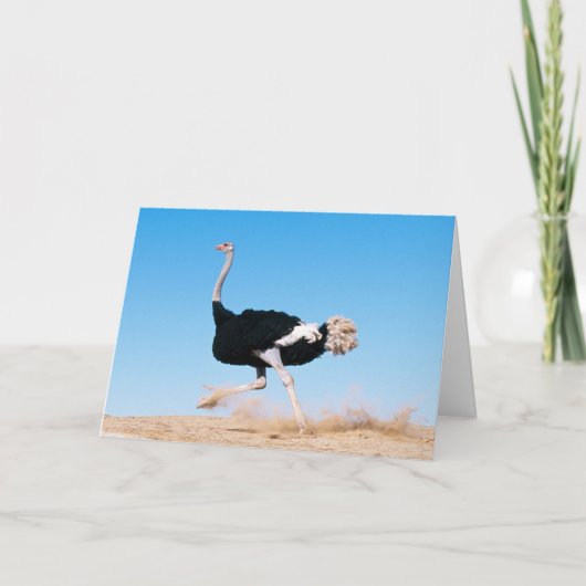 Blijf Ostrich Kaart runnen (Voorkant)