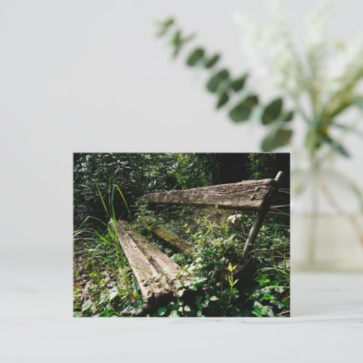 Blijf rustig briefkaart (Staand voorkant)