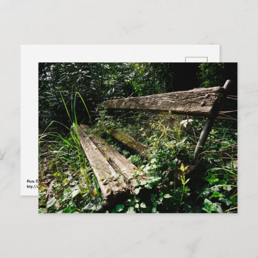 Blijf rustig briefkaart (Voorkant / Achterkant)