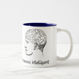 Blijf zwemmen in de Mok