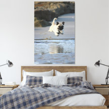 Blijgebaar Puggeltje dat langs de Oceaan springt