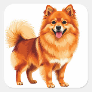 Blijke Pomeranian hond Vierkante Sticker
