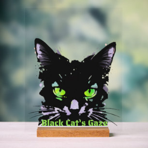 Blik van de Zwarte Kat Acryl Bord