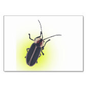 Bliksem Bug, Firefly, Insect lezing Flashcards Kaart (Voorkant)