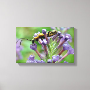 Bliksem! Canvas Afdruk