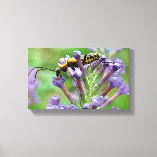 Bliksem! Canvas Afdruk (Voorkant)