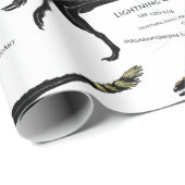 Bliksemafraappapier Cadeaupapier (Rol Hoek)