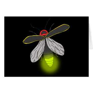 bliksemschicht vliegverlichting