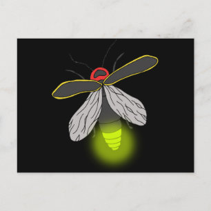 bliksemschicht vliegverlichting briefkaart