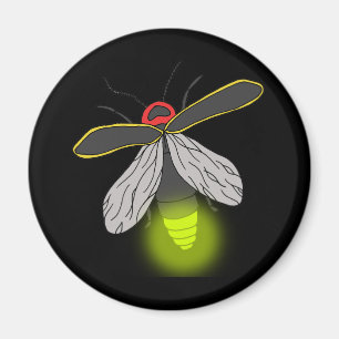 bliksemschicht vliegverlichting magneet
