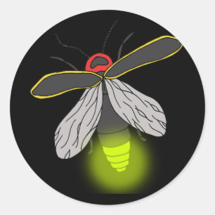 bliksemschicht vliegverlichting ronde sticker