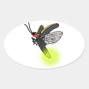 bliksemschicht vlucht 2 verlicht ovale sticker