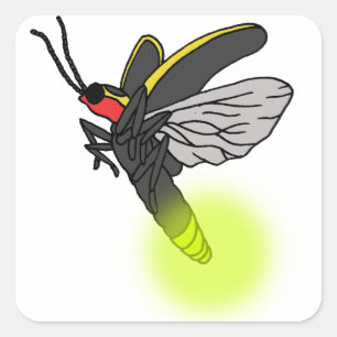 bliksemschicht vlucht 2 verlicht vierkante sticker