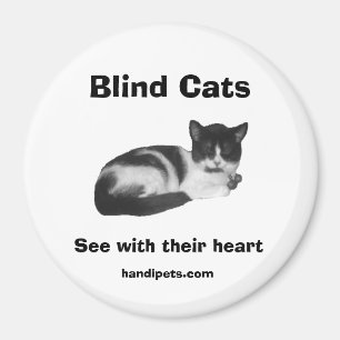 Blind katje magneet