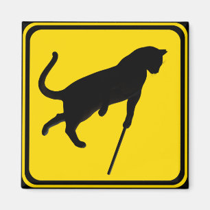 Blind katten kruipen! magneet