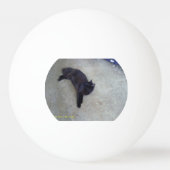 blindbal pingpongballen (Voorkant)