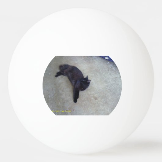 blindbal pingpongballen (Achterkant)