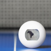 blindbal pingpongballen (Net)