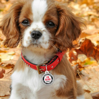Blinde huisdier medische alarm aangepaste naam zwa huisdierpenning