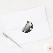 Blinde kattenpianist ronde sticker (Envelop)