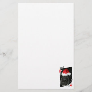 Blindehondenneus met kerstfoto briefpapier