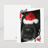 Blindehondenneus met kerstfoto feestdagenkaart (Voorkant / Achterkant)