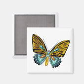 Bling Bling vlinder Magneet (Voorkant / Achterkant)