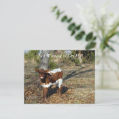 Bliss Briefkaart-pas aan Briefkaart (Staand voorkant)