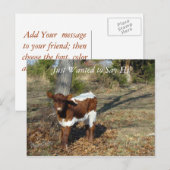 Bliss Briefkaart-pas aan Briefkaart (Voorkant / Achterkant)