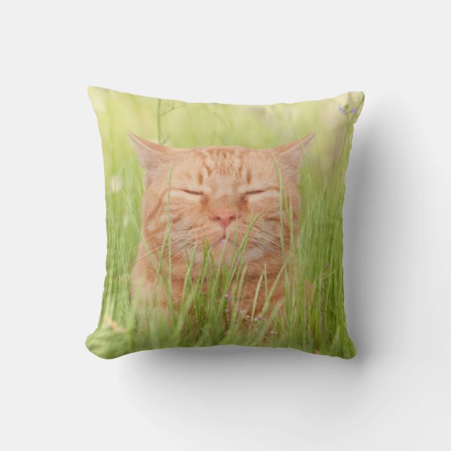Blissful Happy Cat Kussen (Voorkant)