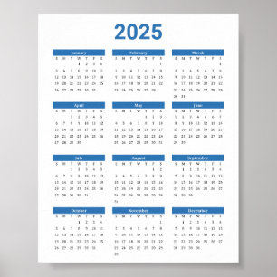 Bliue en Wit 2025 Jaar in een oogopslag Kalender Poster